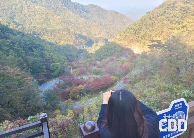 가곡면 보발재