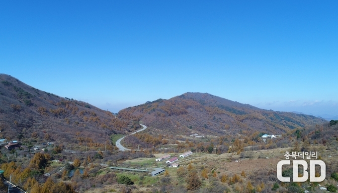 대강면 올산리 사업대상지 전경