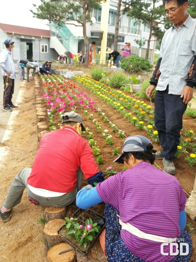 케어팜(care-farm)