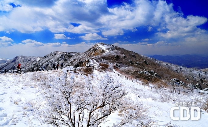 단양소백산 겨울