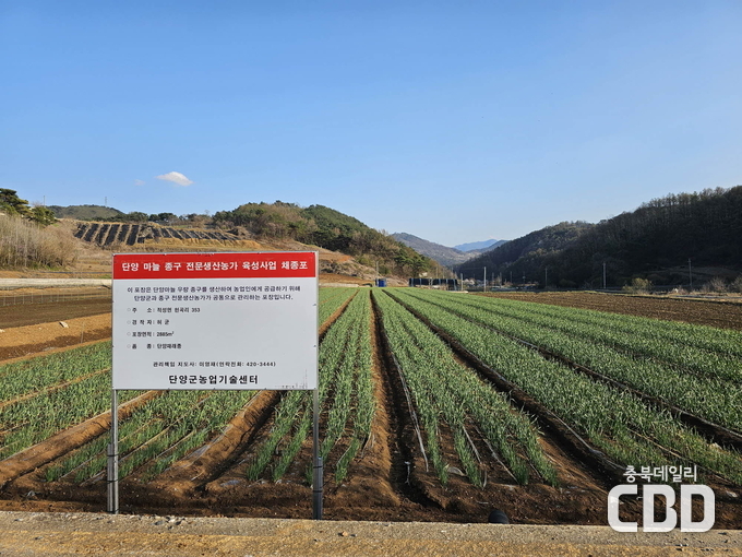 채종포사진